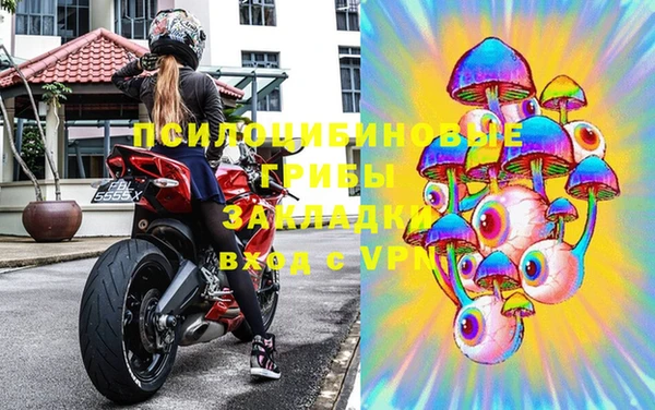 ПСИЛОЦИБИНОВЫЕ ГРИБЫ Алзамай