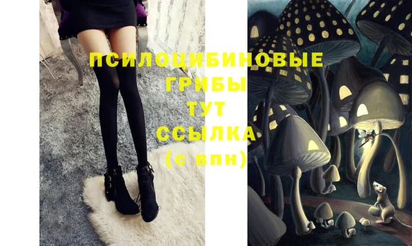 ПСИЛОЦИБИНОВЫЕ ГРИБЫ Алзамай